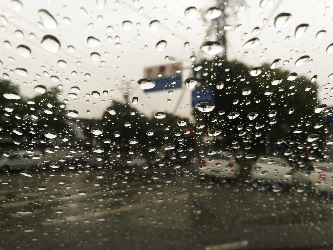 早安  喜欢下雨,喜欢听沙沙的下雨声